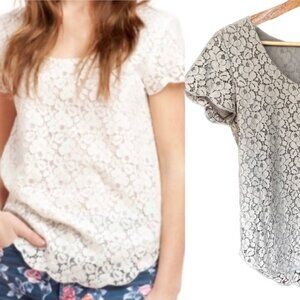 Aritzia  * Talula Betsy  Lace Short Sleeve Blouse Taupe color size Small